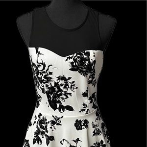TRIXXI WHITE AND BLACK DRESS SIZE S NWOT